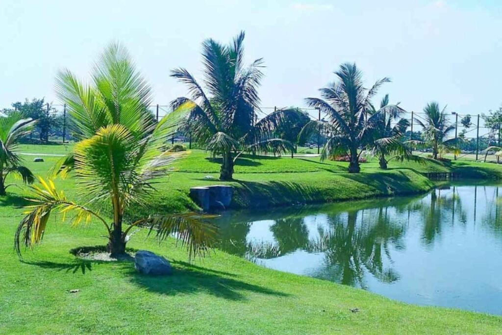 Eco Park Gate No 4 – Complete Guide eco park gate no 4